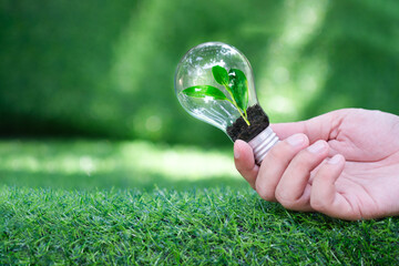 saving Energy light bulb with light and tree growing in side on nature background. Saving,...