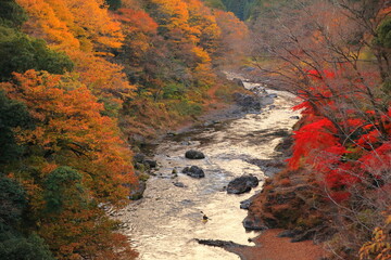東京都奥多摩　紅葉の御岳渓谷とカヌーをする人