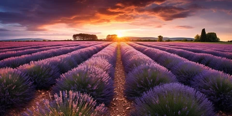 Rolgordijnen Lavender field at sunset © Benjamin