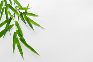 Fototapeta na wymiar Captivating Bamboo Leaf Background with Elegant White Paper