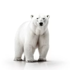 Foto op Canvas Polar bear on white background © Benjamin