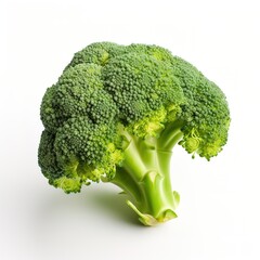 Professional photo of delicious fresh broccoli