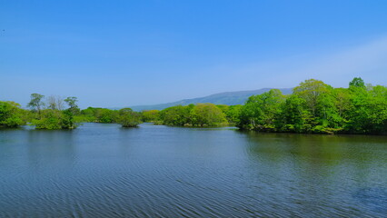 大沼公園（5月）5