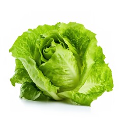 Delicious fresh lettuce