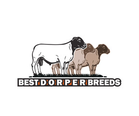 DORPER BEST BREEDS LOGO, silhouette of black head sheep standing vector illustrations