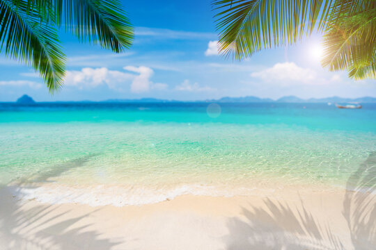 Tropical beautiful white sand beach and blue sky background, Summer vacation concept and copy space