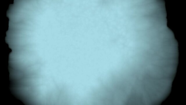 爆発・モヤッと・広がる・モヤ・曇り・にじみ等の表現／Explosions, blurs, spreads, blurs, cloudiness, bleeding, etc.／폭발 &middot; 모얏 &middot; 퍼지는 &middot; 모야 &middot; 흐림 &middot; 번짐 등의 표현