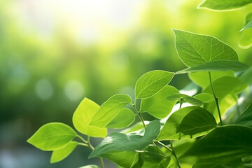 Fototapeta na wymiar Summer Bliss: Vibrant Green Leaf in Garden Under Sunlight Created with Generative AI Tools