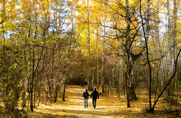 A married couple walking along a path in a dense autumn forest under sunlight