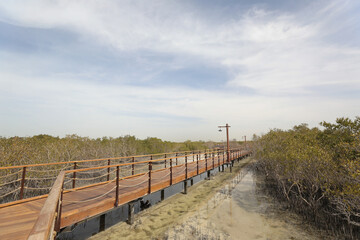 Fototapeta premium Jubail Island in Abu Dhabi.