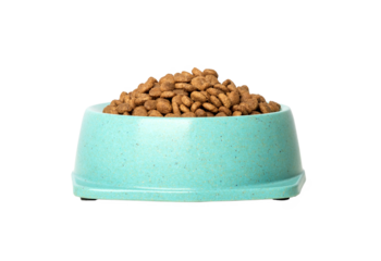 Dry cat food in green bowl isolated on white.