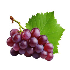 Fototapeta premium bunch of grapes isolated on transparent background cutout