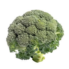 broccoli isolated on transparent background cutout