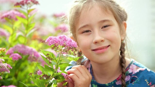 Brown-haired girl poses near pinkish flowers on green bush lit by sunlight. Schoolgirl with long braids enjoys posing and taking picture