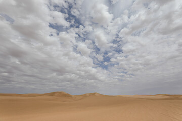 A windy day in the desert.