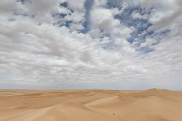 Fototapeta na wymiar A windy day in the desert.