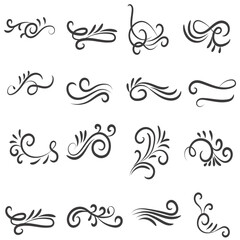 Fototapeta premium Vector illustration graphic elements for design, Swirl elements decorative illustration