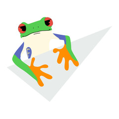 red-eyed tree frog single and paper 4,vector illustration