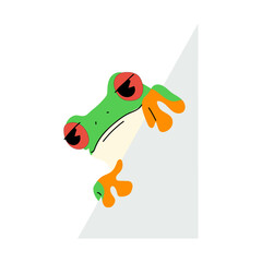 red-eyed tree frog single and paper 3,vector illustration
