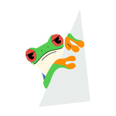 red-eyed tree frog single and paper 1,vector illustration