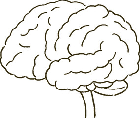 メディカル　シンプルなタッチの脳の医療イラストレーション