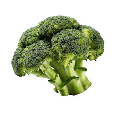 Fresh broccoli on transparent background Generative AI