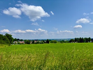 Fototapeta premium Kasseler Heide in Römlinghoven / Siebengebirge (Nordrhein-Westfalen)