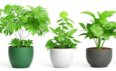 Naklejka na ściany i meble Beautiful plants in ceramic pots arranged in a collection, isolated on a clear background. Generative AI.