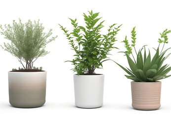 Beautiful plants in ceramic pots arranged in a collection, isolated on a clear background. Generative AI.