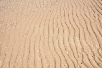 Beach, Wasser, Ebbe, Meer