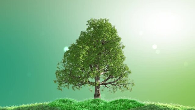 Big green tree and grasses sway in the wind on light green gradient background. Ecology and environment Sustainability Concept. 3D Render