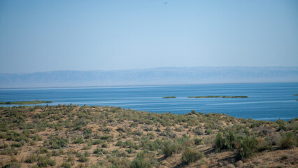 wind in the desert river