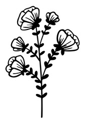 Flower plant line art simple drawn icon. Wildflower doodle botanical sketch. Floral plants vector illustration isolated on white background. Organic hand drawn elements.