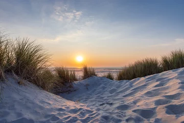 Photo sur Plexiglas Paysage Dunes landscape during sunset at the beach of Wadden island Terschelling Friesland province in The Netherlands
