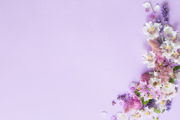 white and purple flowers on purple paper background