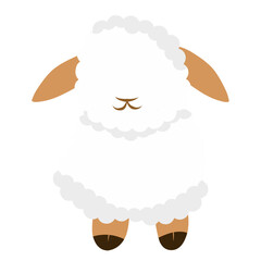 Sheep Illustration 