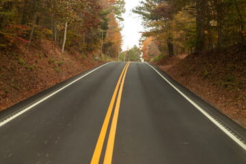 road in autumn forest