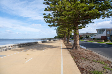 Background texture Two-way cycle tracks or protected bike lanes by the sea with trees along the road in the suburban neighbourhood. Altona Beach, Melbourne VIC Australia. Copy space for your design. - obrazy, fototapety, plakaty