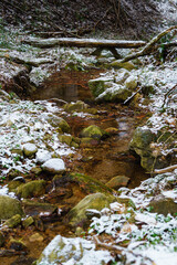 Creek with rocks and trunk in winter