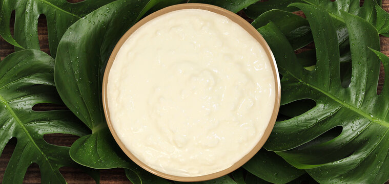 cup of curd or yogurt on swiss cheese plant leaves all around it.