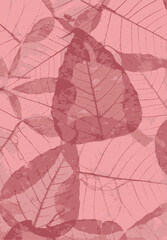 Leaf Print Background