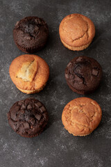 Homemade chocolate and vanilla muffins on a dark background. Sill life food photography. Studio light. 