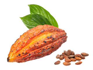 Fresh Cacao Fruit with Leaves and Beans on Transparent PNG Background