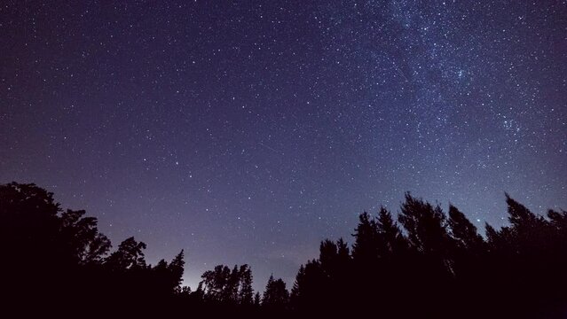 Night time lapse with starry sky and forest.