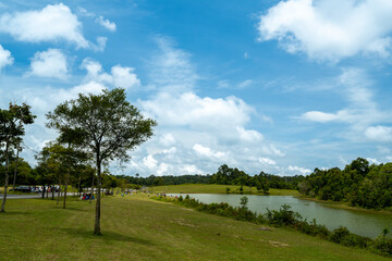 landscape with trees and clouds