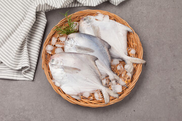 
A saltwater fish of the Byeongguidae family. A flat, round fish with a body length of 60 cm and a...