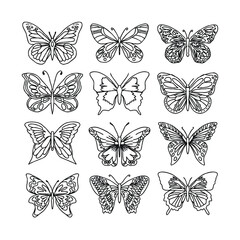 Fototapeta na wymiar butterfly hand drawn doodle illustrations vector set