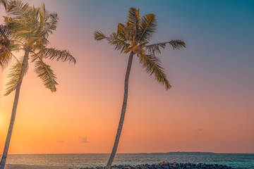 Fototapeta na wymiar Palm trees on sandy island close to ocean. Beautiful bright sunset on tropical paradise beach, relaxing coastal landscape. Exotic scene, closeup sea waves. Evening colorful sky, peaceful seascape