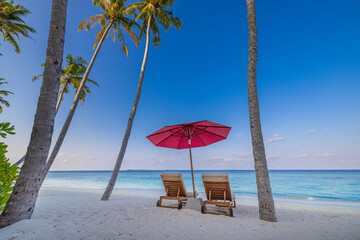 Tropical paradise beach white sand and coco palms travel tourism wide panorama. Luxury couple honeymoon vacation exotic holiday banner. Chairs pink umbrella romantic sea coast leisure wellbeing travel