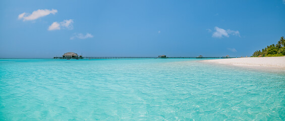 Maldives island beach. Tropical landscape of summer. White sand palm trees, beautiful lagoon sea bay. Luxury travel vacation destination. Exotic panoramic coast. Amazing nature, relax, leisure island